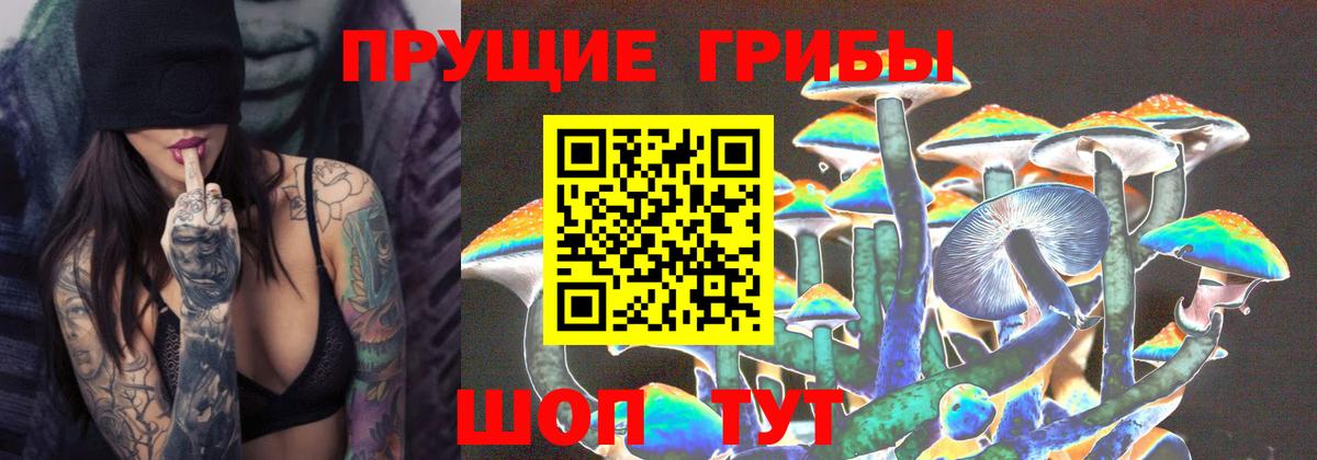 Подольск  Галлюциногенные грибы Psilocybe  Псилоцибиновые грибы прущие грибы  Вход с VPN 